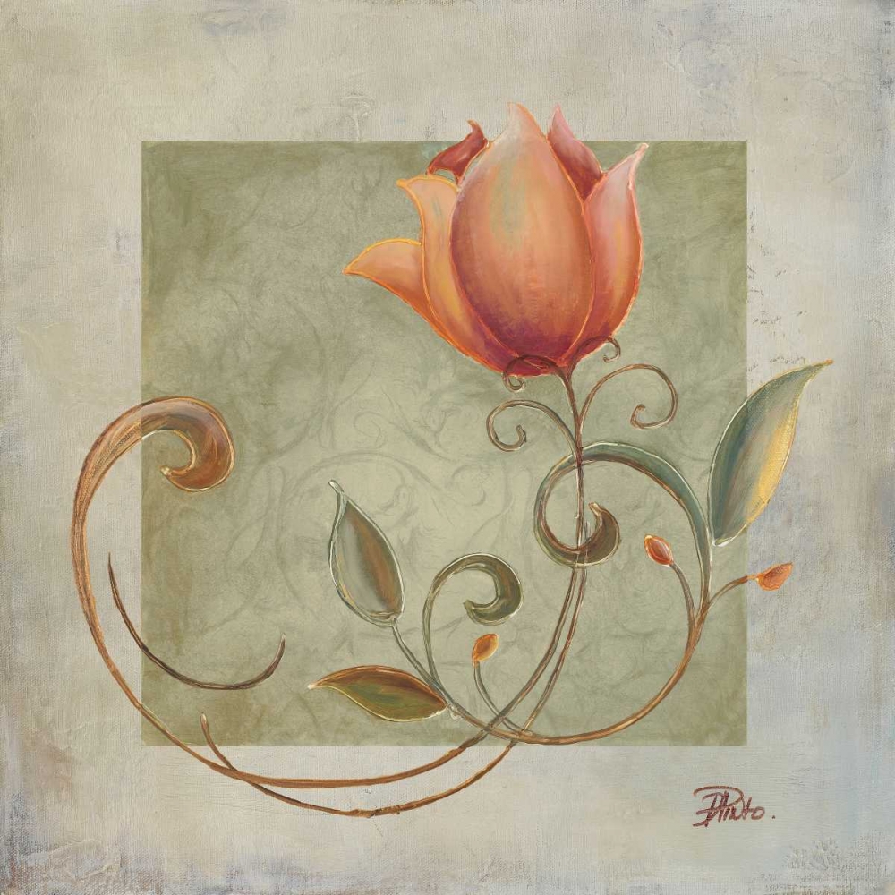 Wall Art Painting id:51057, Name: Ornaments in Peach II, Artist: Pinto, Patricia