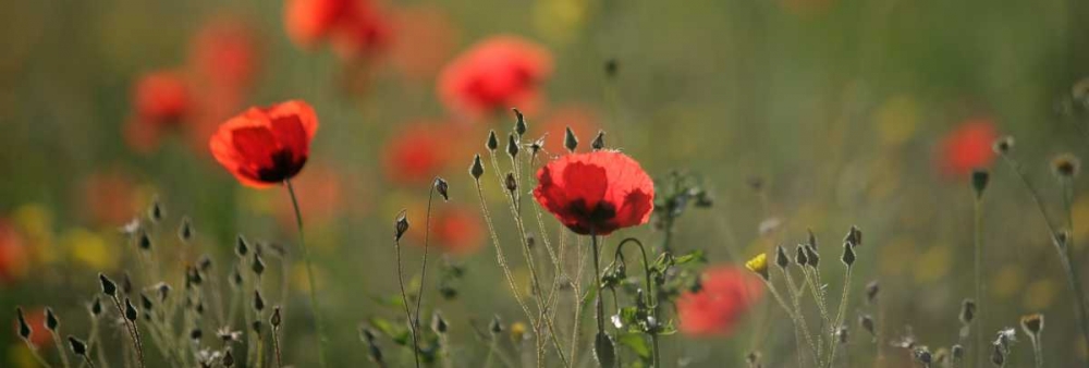 Similar wall art painting: 23633