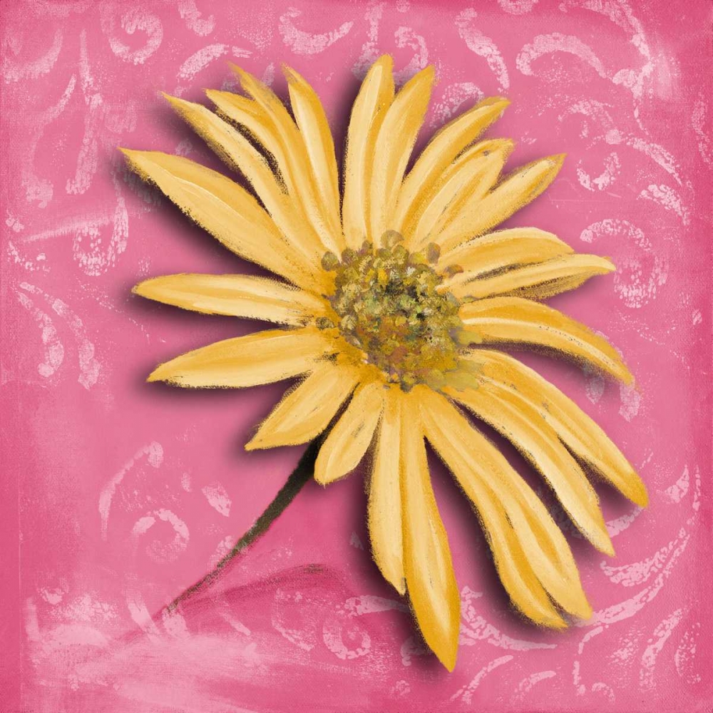 Wall Art Painting id:15428, Name: Blooming Daisy II, Artist: Pinto, Patricia