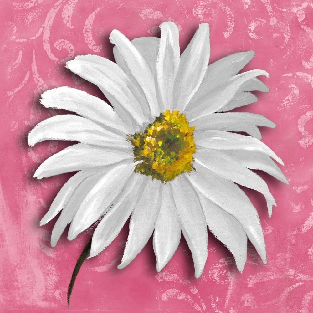 Wall Art Painting id:15429, Name: Blooming Daisy III, Artist: Pinto, Patricia