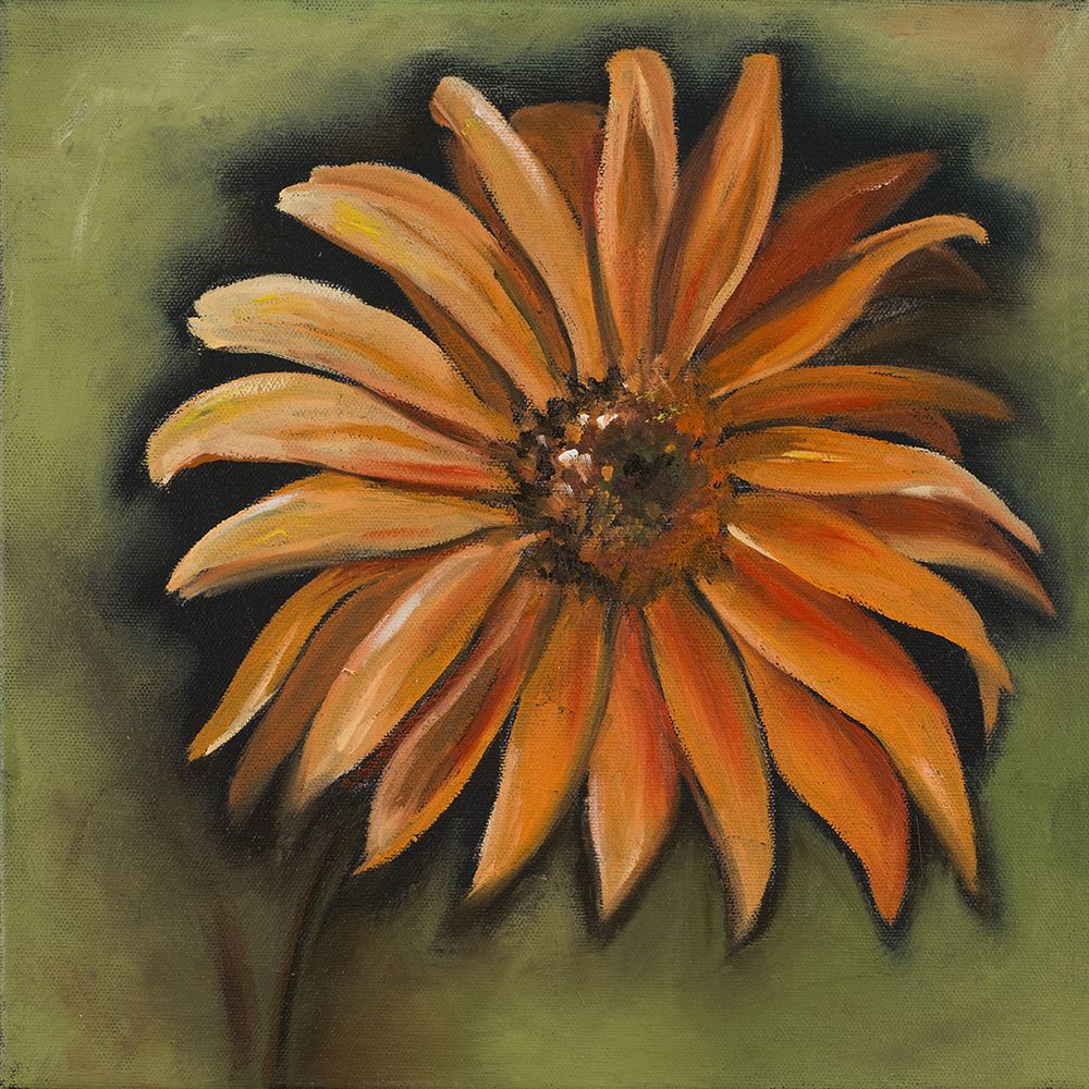 Wall Art Painting id:523717, Name: Daisy Collections III, Artist: Arenas, Nelly