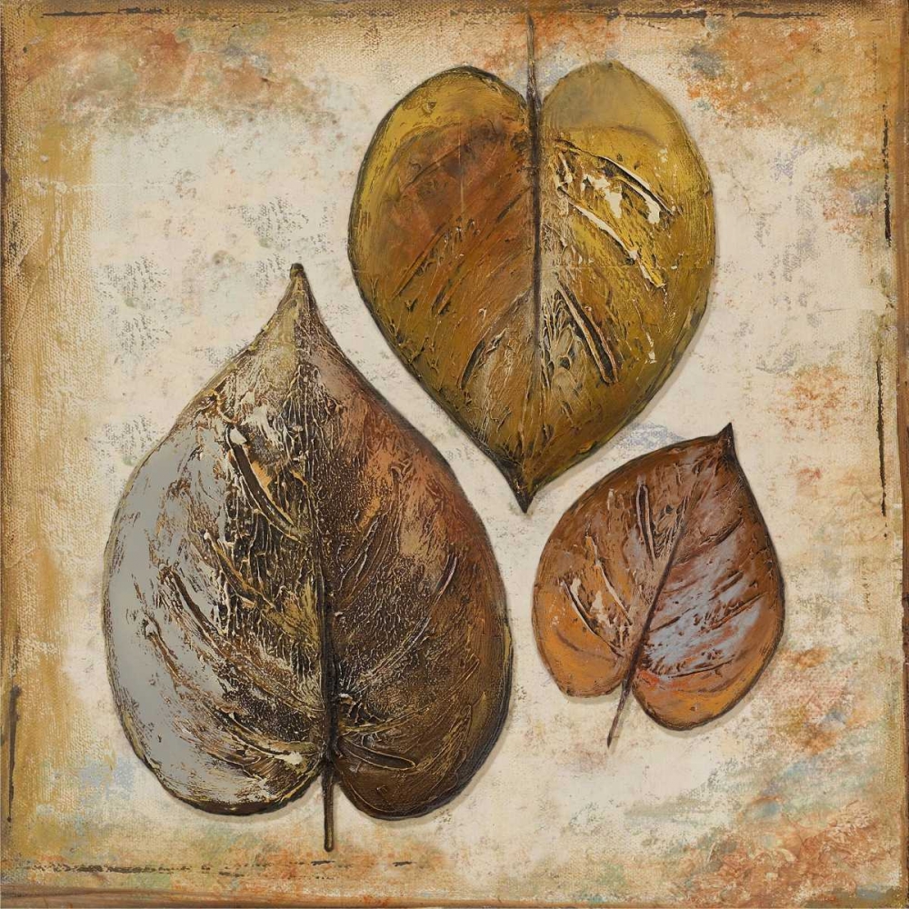 Wall Art Painting id:15443, Name: Natural Leaves II, Artist: Pinto, Patricia