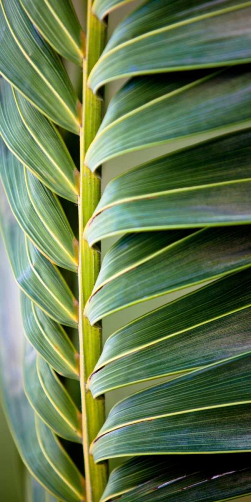 Similar wall art painting: 15447