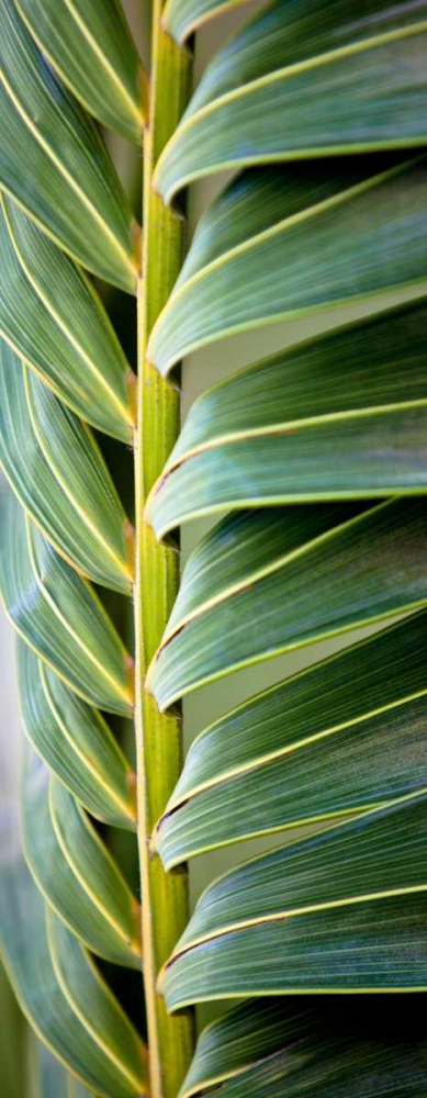 Similar wall art painting: 52043