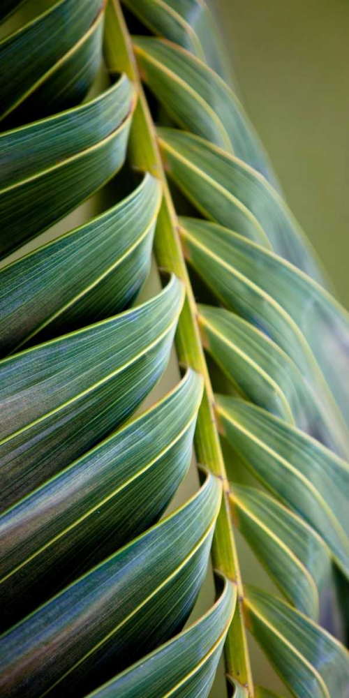 Similar wall art painting: 15448