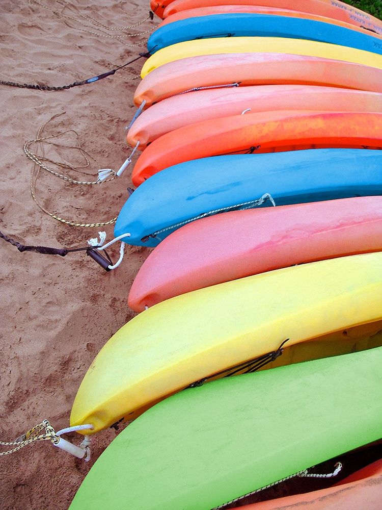 Wall Art Painting id:310478, Name: Kayaks I, Artist: Rodriguez, Jairo