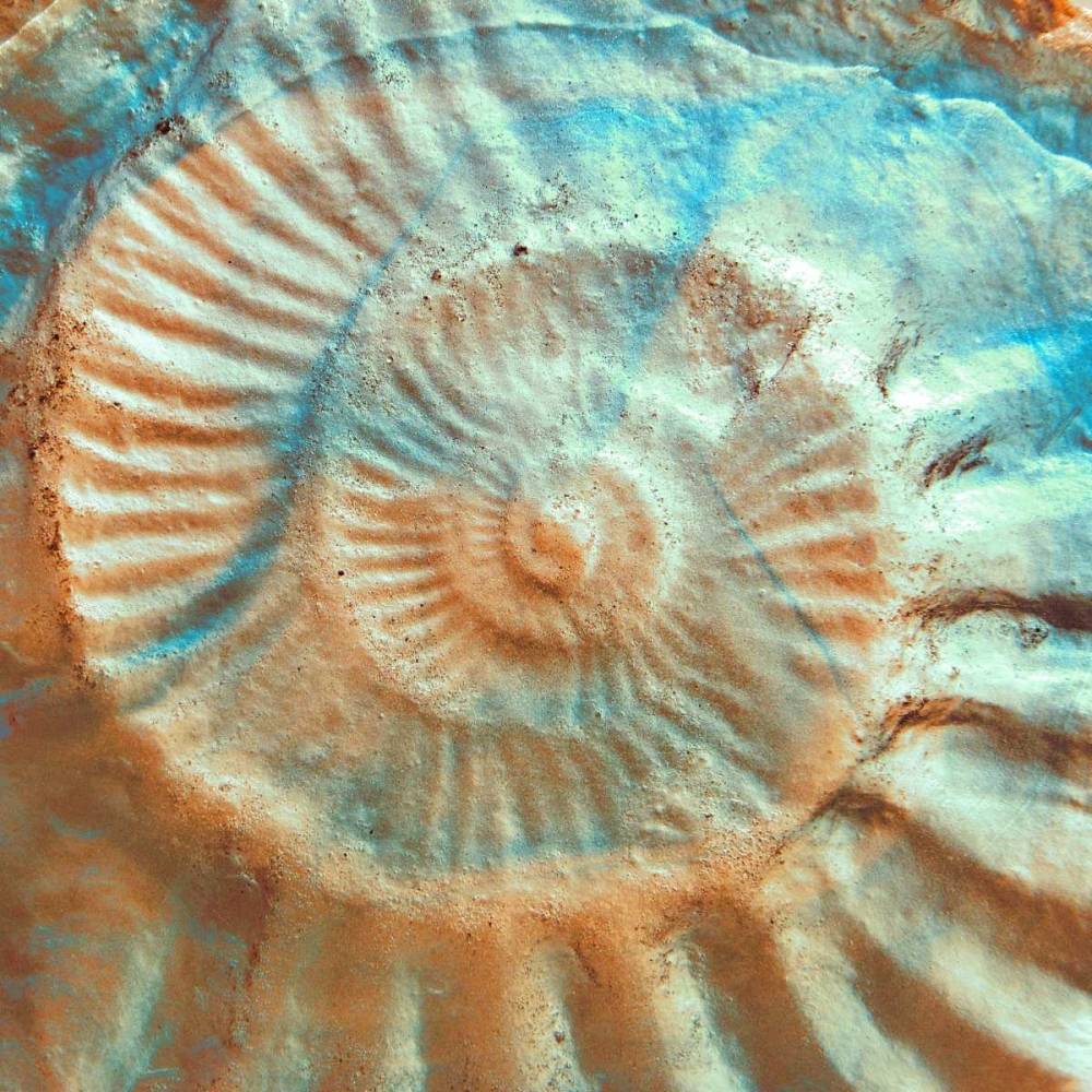 Similar wall art painting: 81330