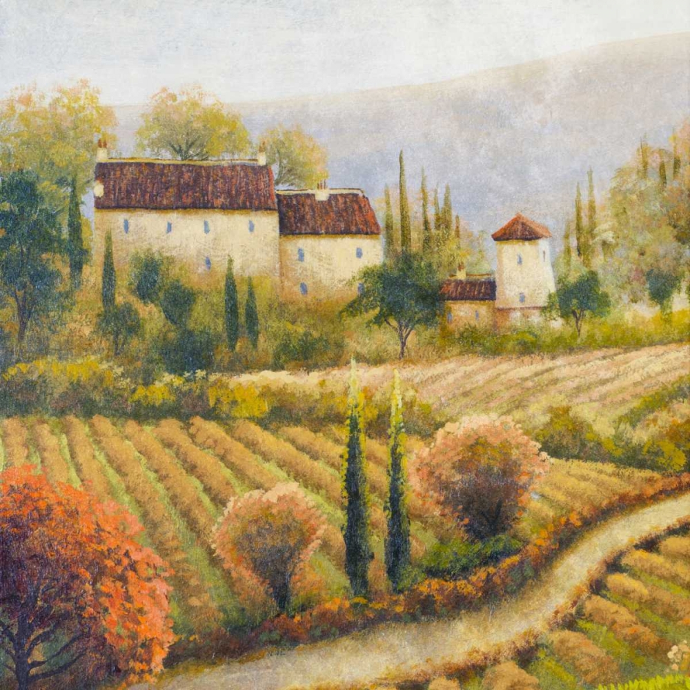 Wall Art Painting id:15474, Name: Tuscany Vineyard I, Artist: Marcon, Michael