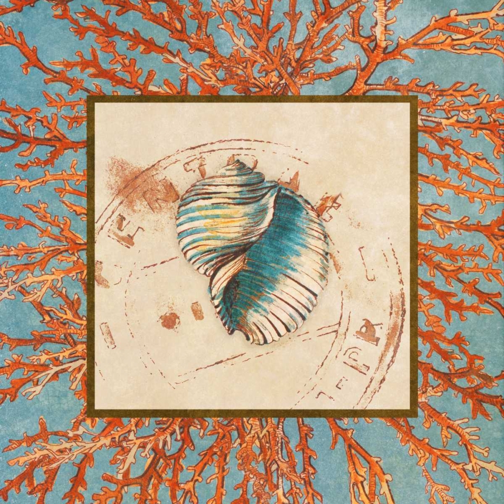 Wall Art Painting id:24006, Name: Coral Medley Shell I, Artist: Loreth, Lanie