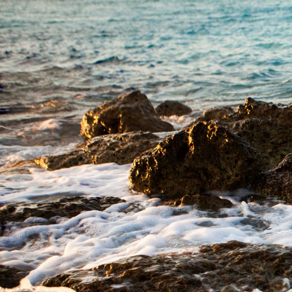 Similar wall art painting: 24025