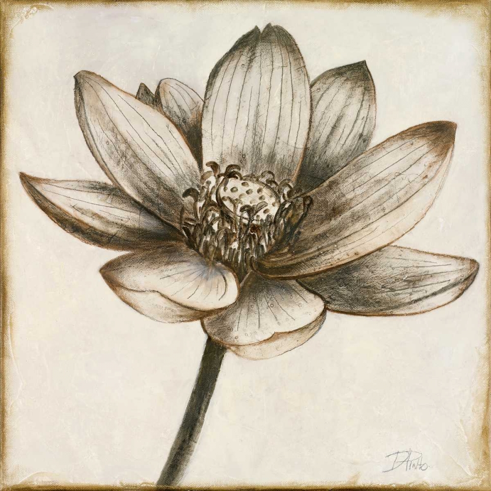 Wall Art Painting id:32514, Name: Sepia Lotus II, Artist: Pinto, Patricia