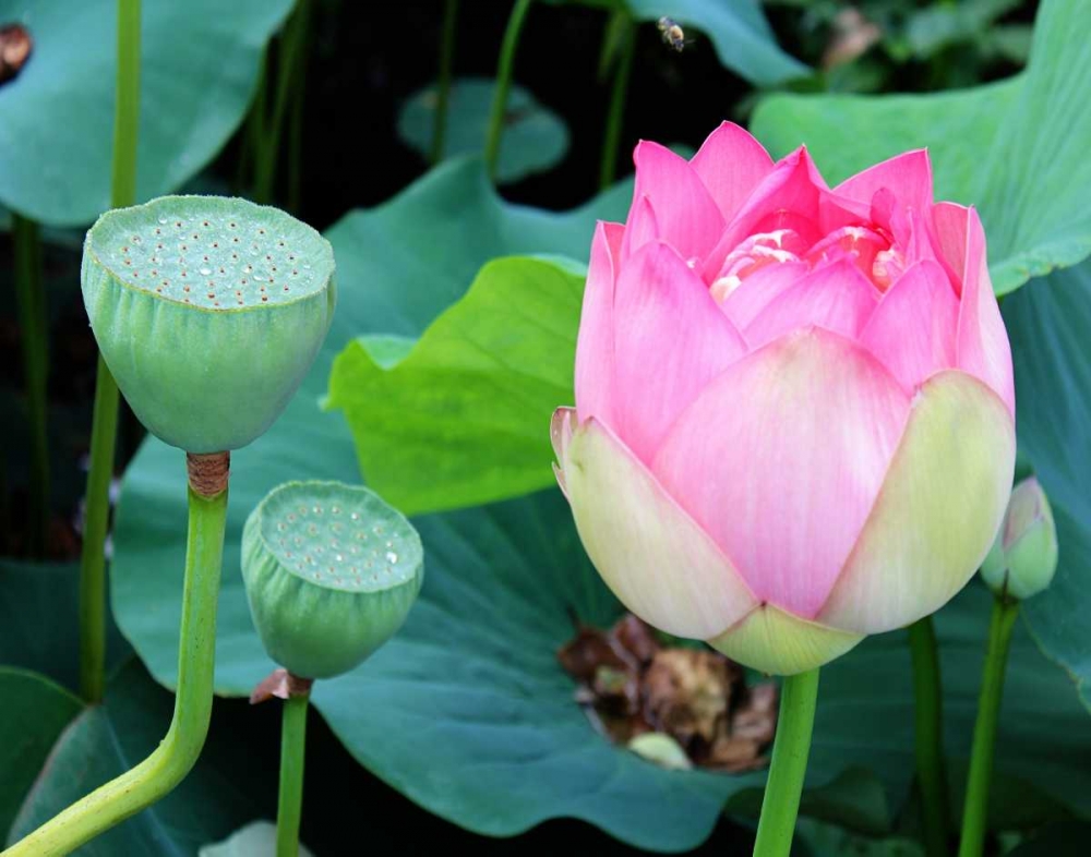 Similar wall art painting: 23603