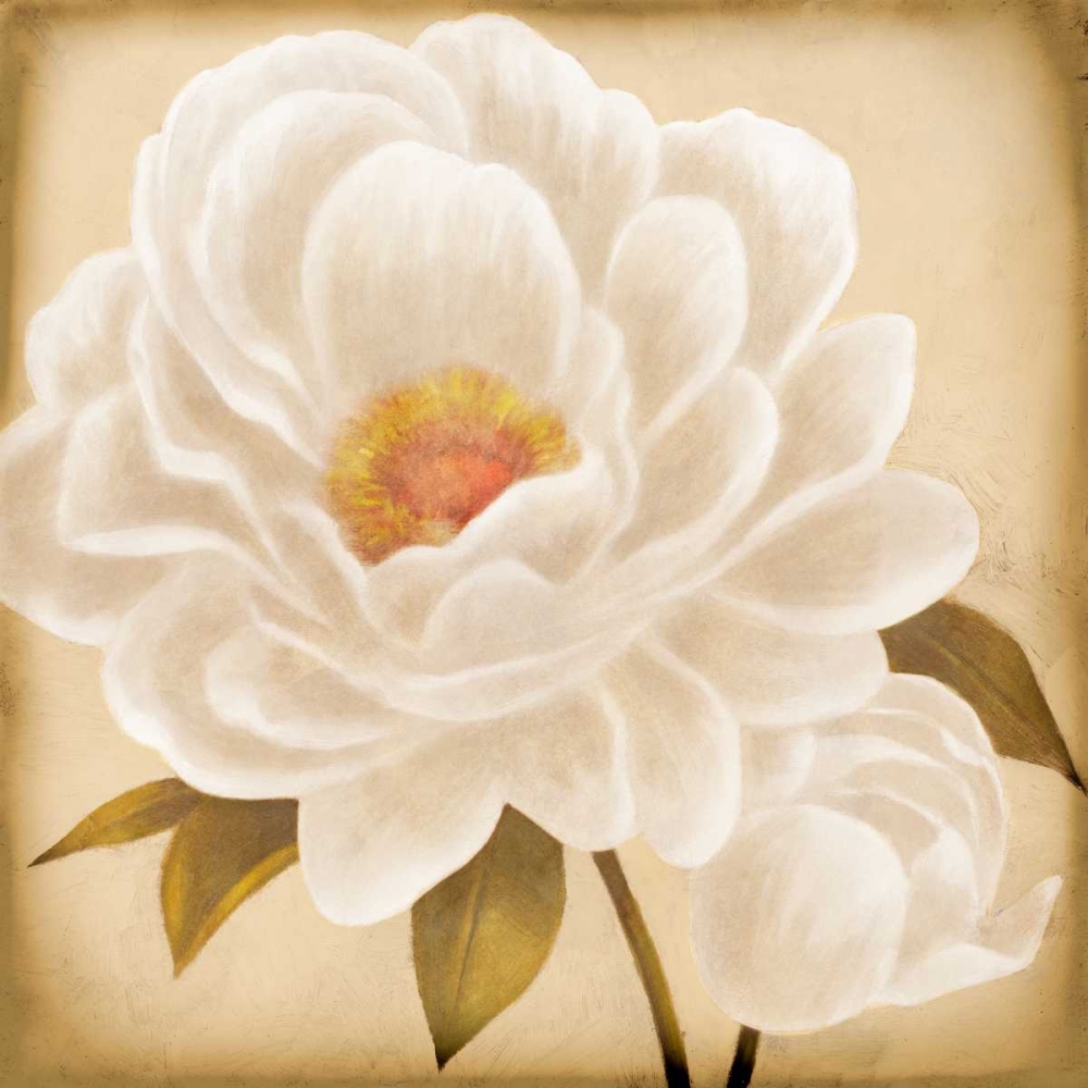 Wall Art Painting id:51064, Name: White Peonies I, Artist: Rhyan, Vivien