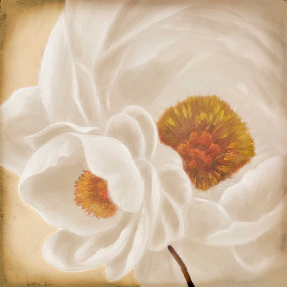 Wall Art Painting id:51063, Name: White Peonies II, Artist: Rhyan, Vivien