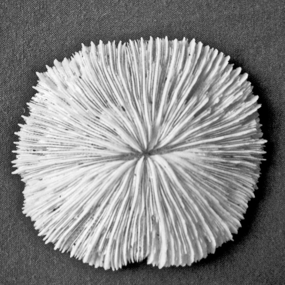 Similar wall art painting: 52137