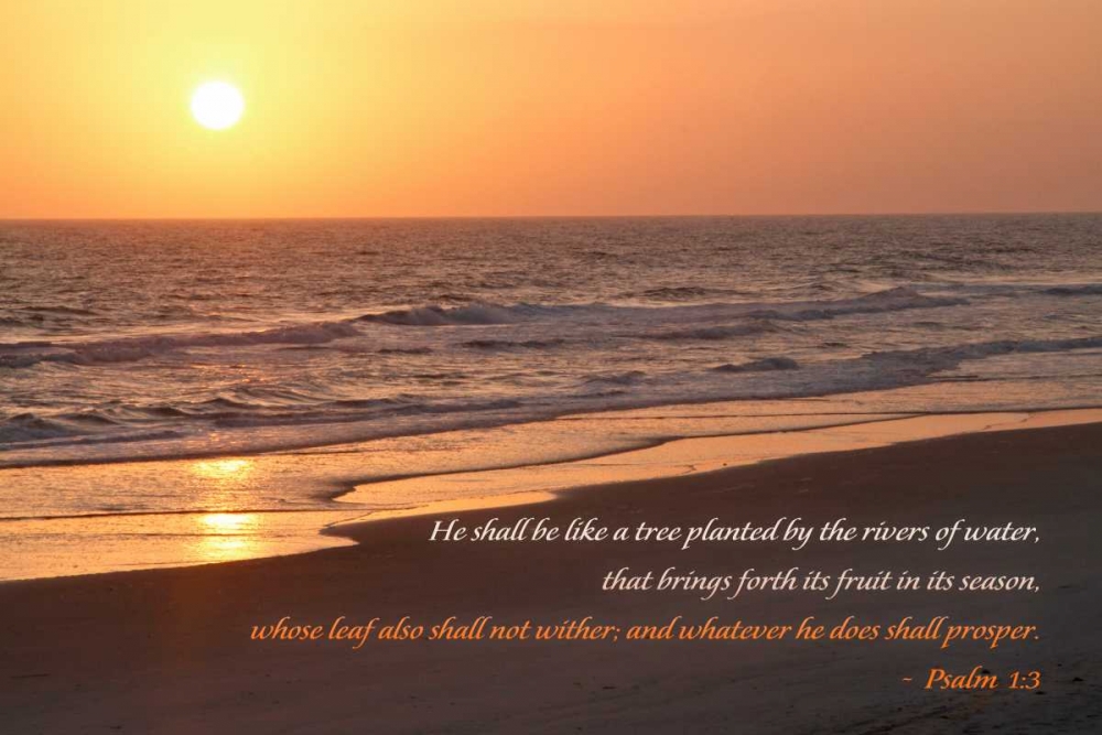 Similar wall art painting: 47588