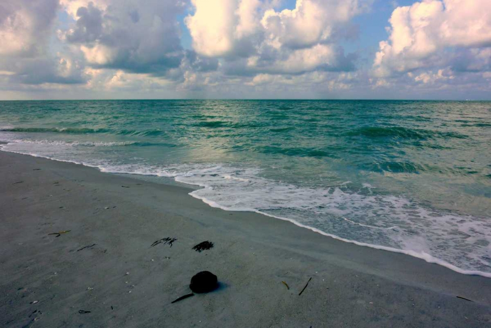 Similar wall art painting: 31844