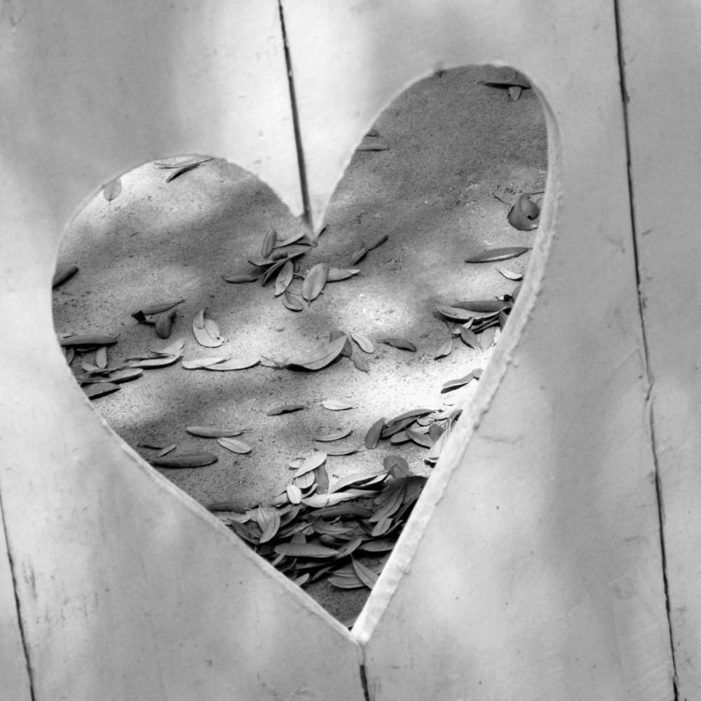 Wall Art Painting id:31850, Name: B-W Heart Full of Love, Artist: Peck, Gail