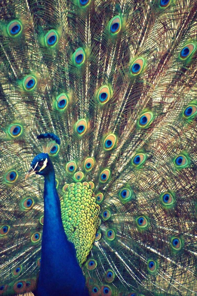 Similar wall art painting: 24173