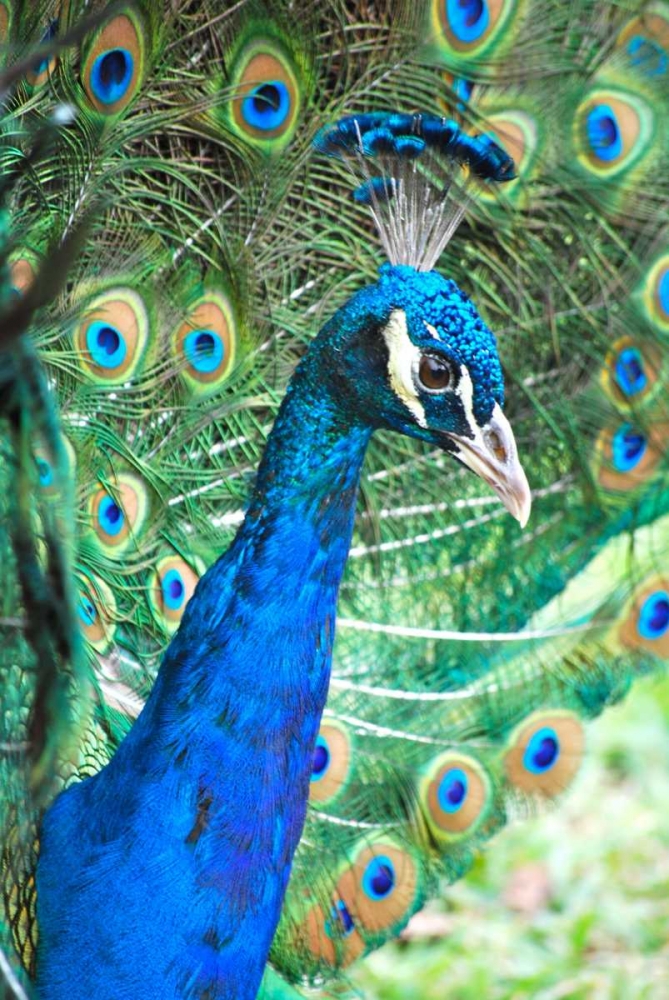 Similar wall art painting: 31854