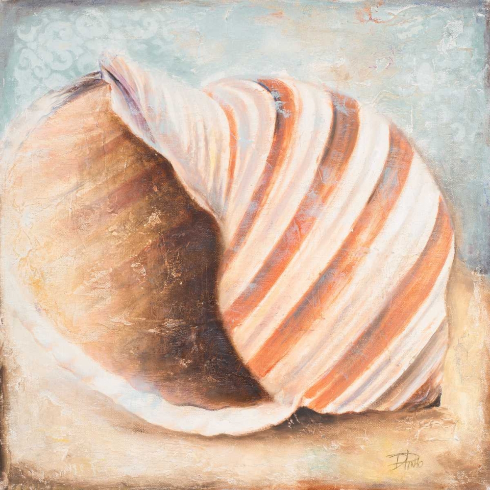 Wall Art Painting id:24075, Name: Seashell Collection I, Artist: Pinto, Patricia