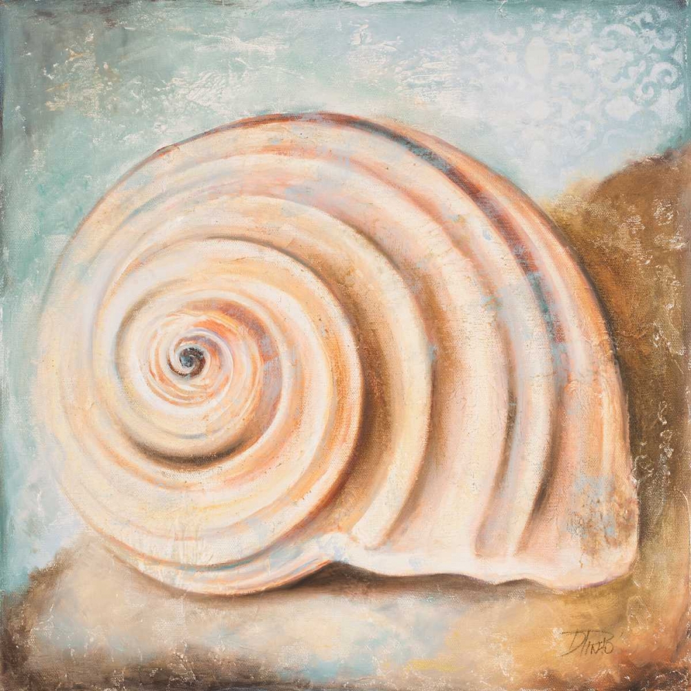 Wall Art Painting id:24078, Name: Seashell Collection IV, Artist: Pinto, Patricia