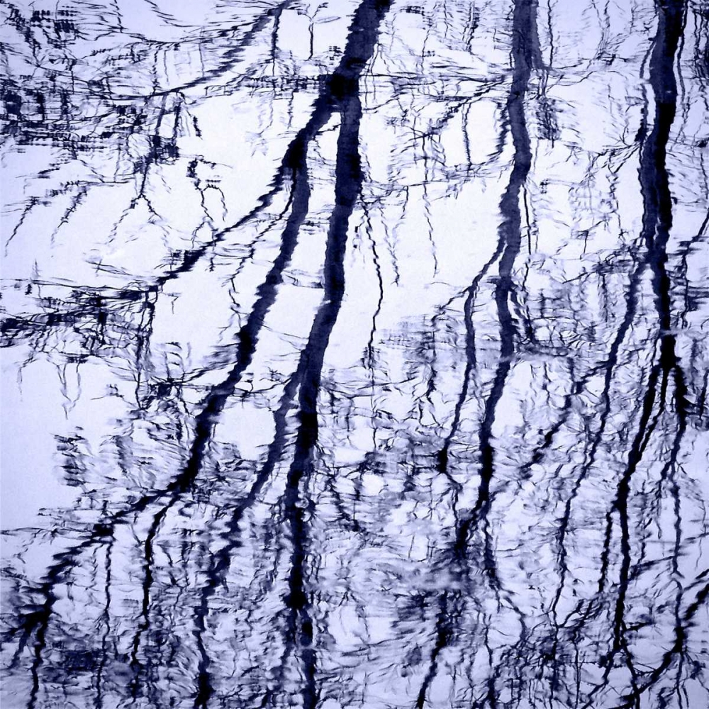 Wall Art Painting id:74494, Name: Branches on Purple, Artist: Peck, Gail