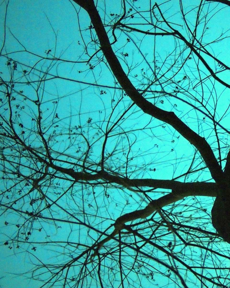 Wall Art Painting id:31856, Name: Branches on Teal I, Artist: Peck, Gail