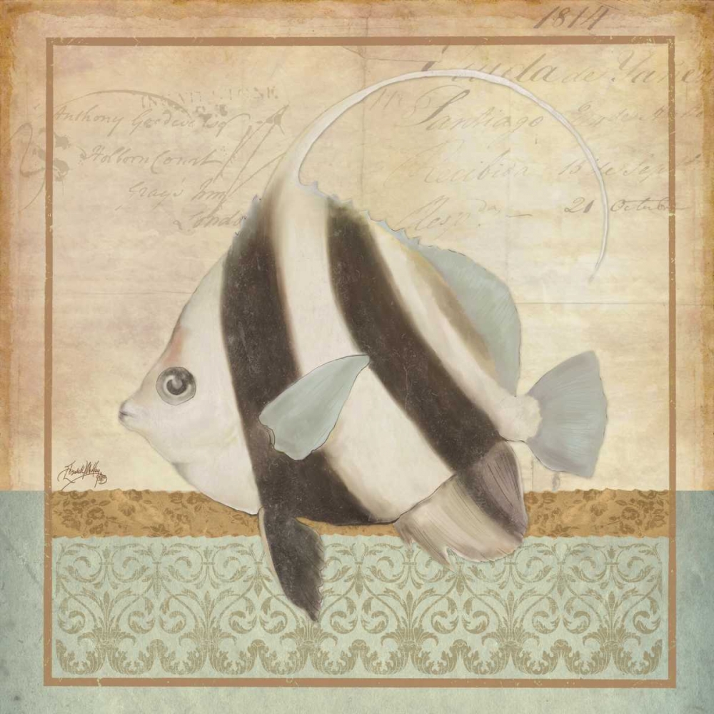 Wall Art Painting id:24086, Name: Vintage Fish I, Artist: Medley, Elizabeth