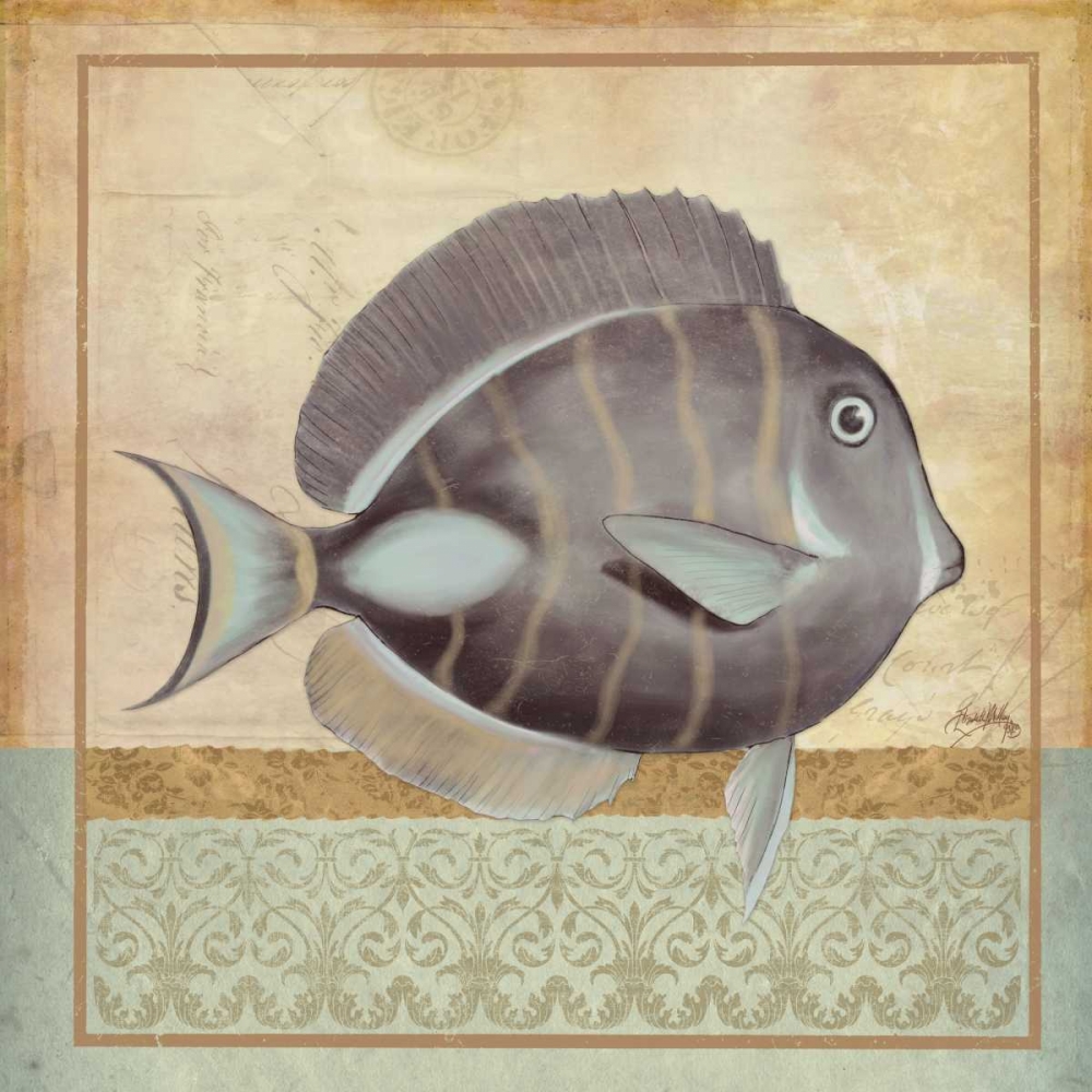 Wall Art Painting id:24088, Name: Vintage Fish II, Artist: Medley, Elizabeth