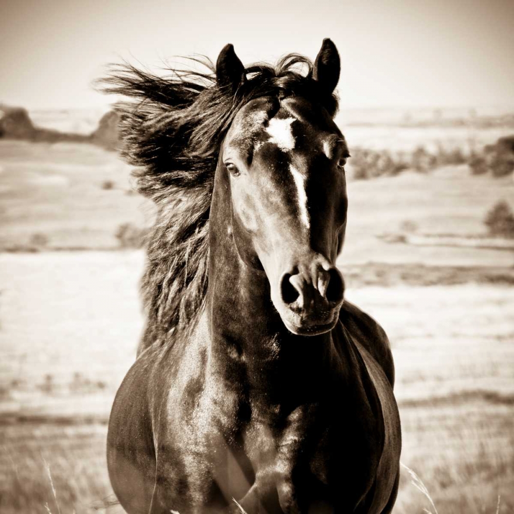 Similar wall art painting: 15578