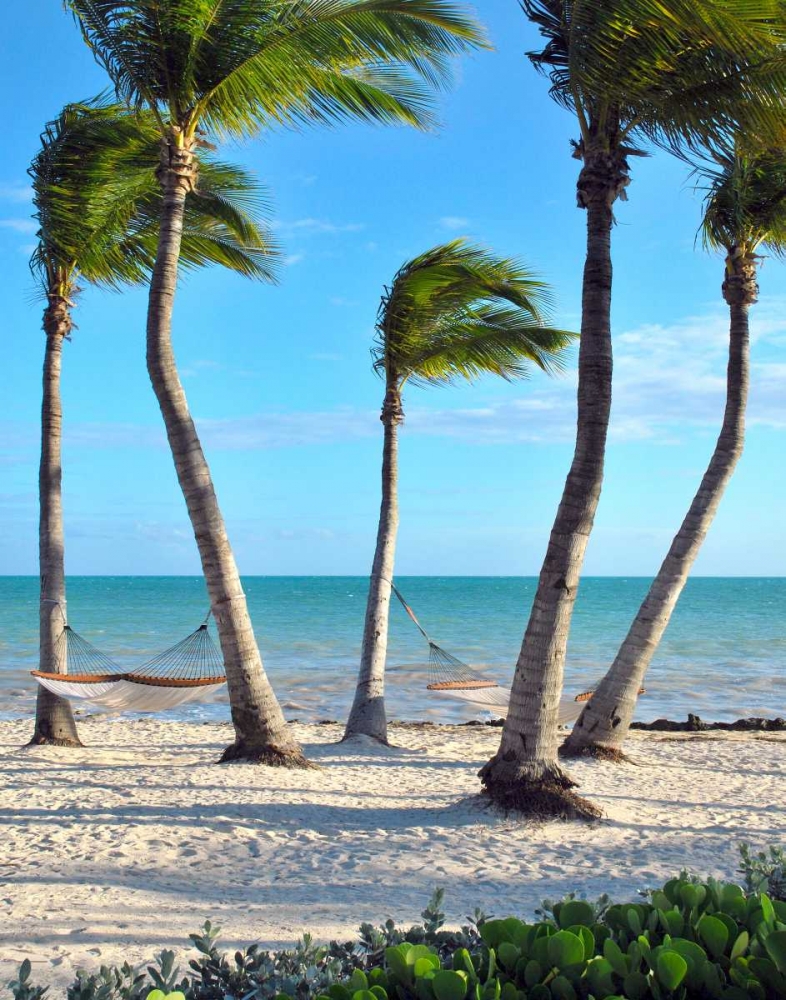 Similar wall art painting: 24109