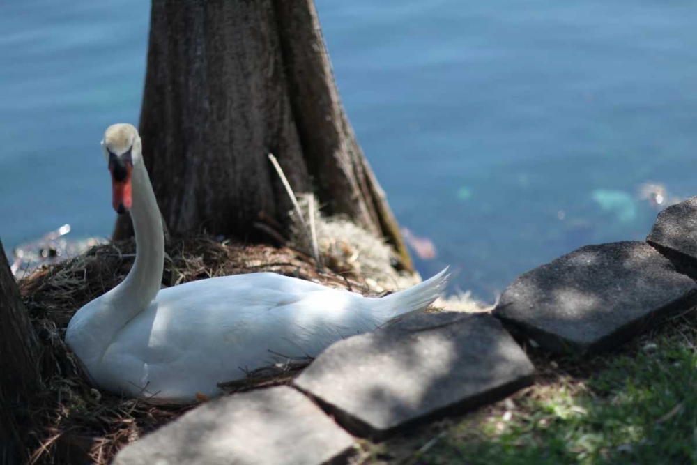 Similar wall art painting: 32549