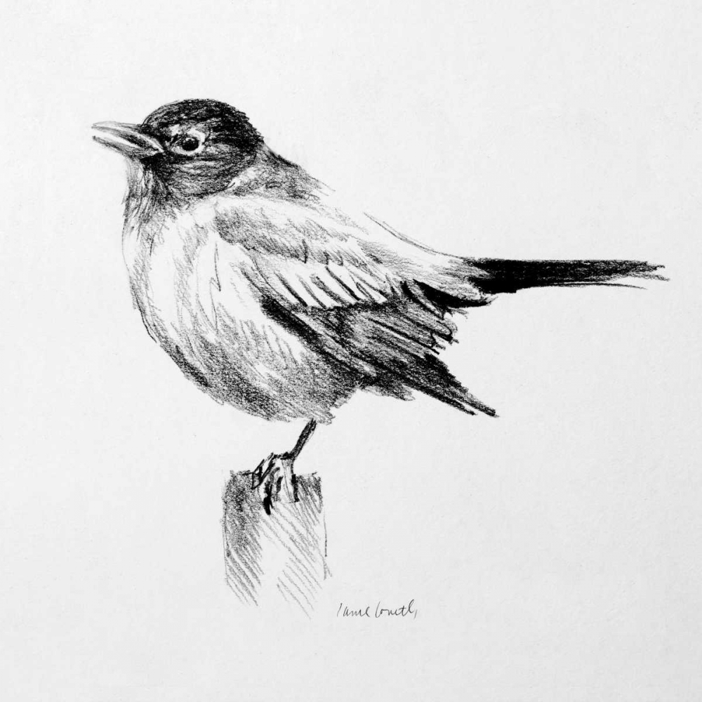 Wall Art Painting id:51819, Name: Bird Drawing III, Artist: Loreth, Lanie