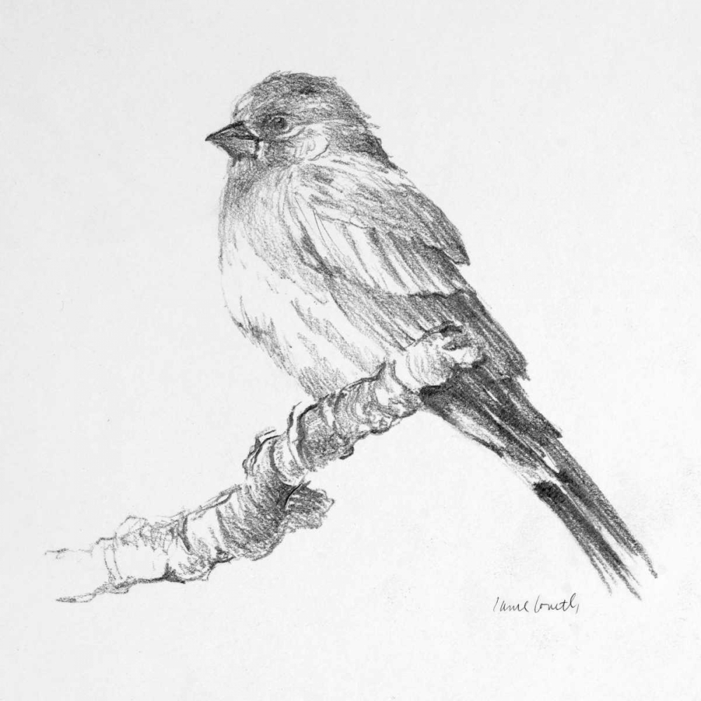 Wall Art Painting id:51821, Name: Bird Drawing I, Artist: Loreth, Lanie