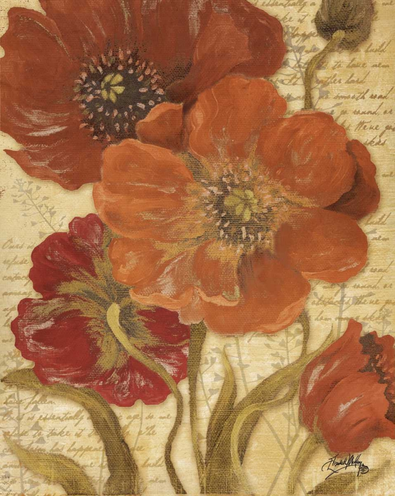Wall Art Painting id:31939, Name: Red Scripted Beauty I, Artist: Medley, Elizabeth