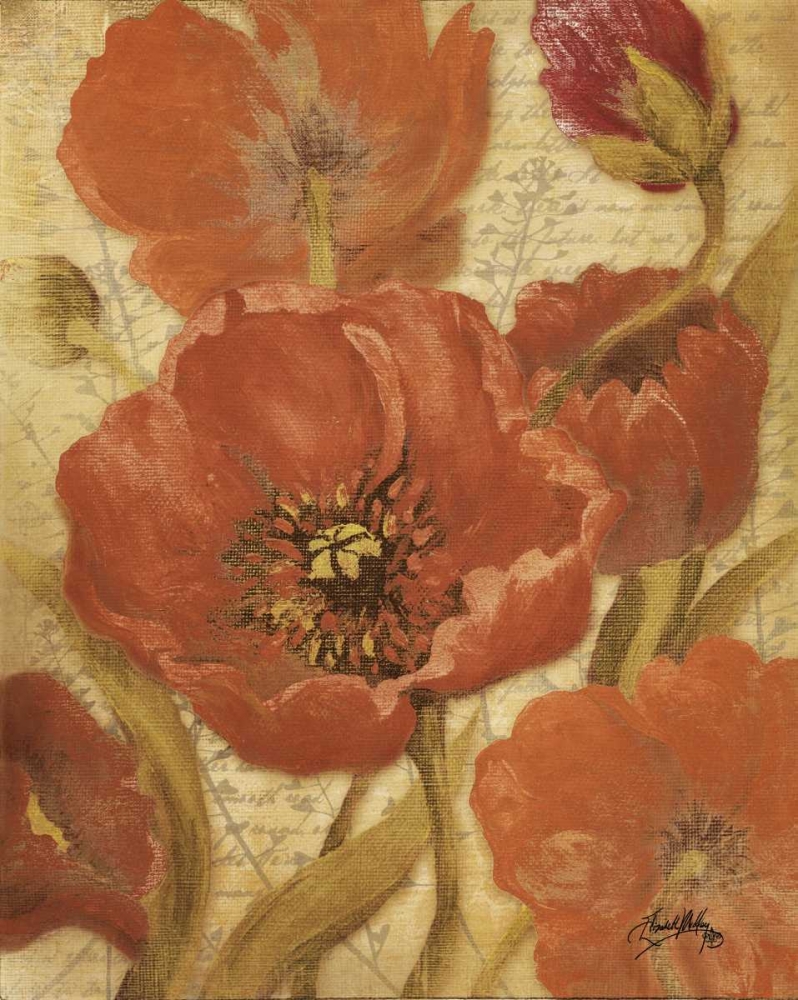 Wall Art Painting id:31940, Name: Red Scripted Beauty II, Artist: Medley, Elizabeth