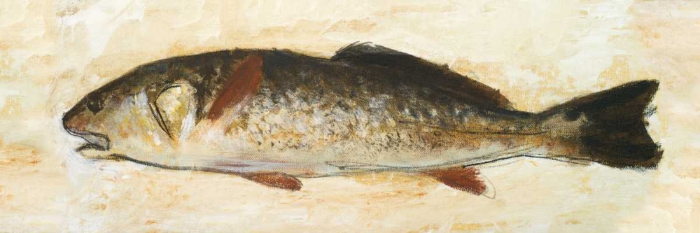 Wall Art Painting id:24239, Name: Catch of the Day II, Artist: Johnson, Walt