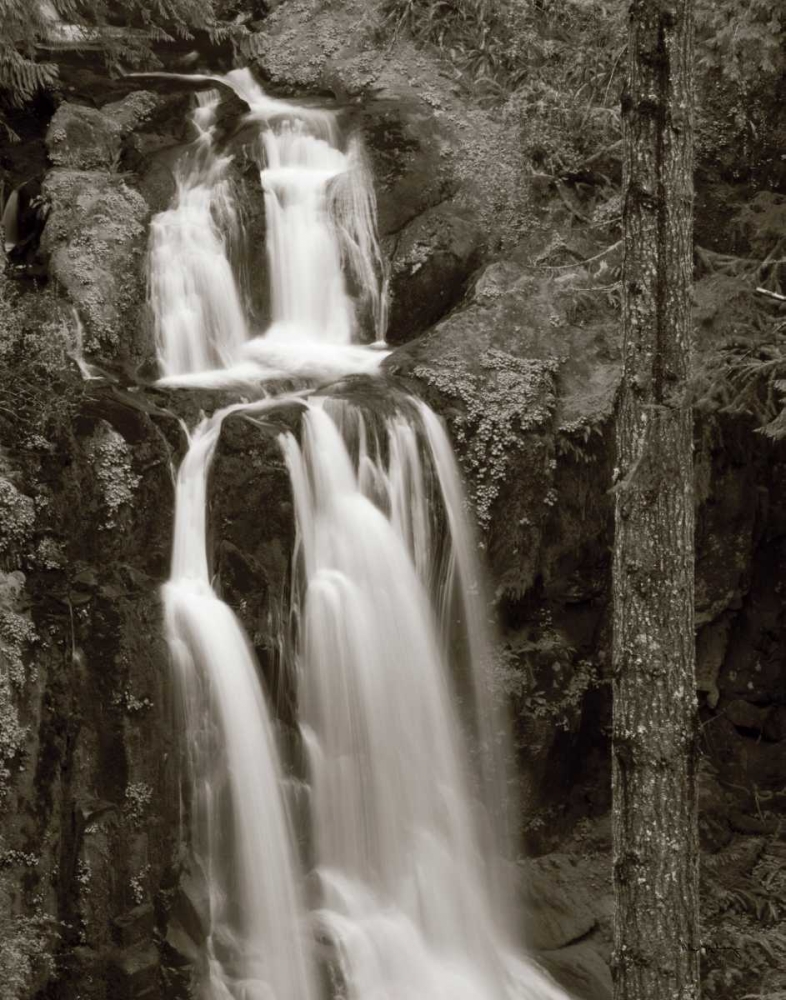 Wall Art Painting id:17300, Name: Kentucky Falls, Artist: Audit, Lisa