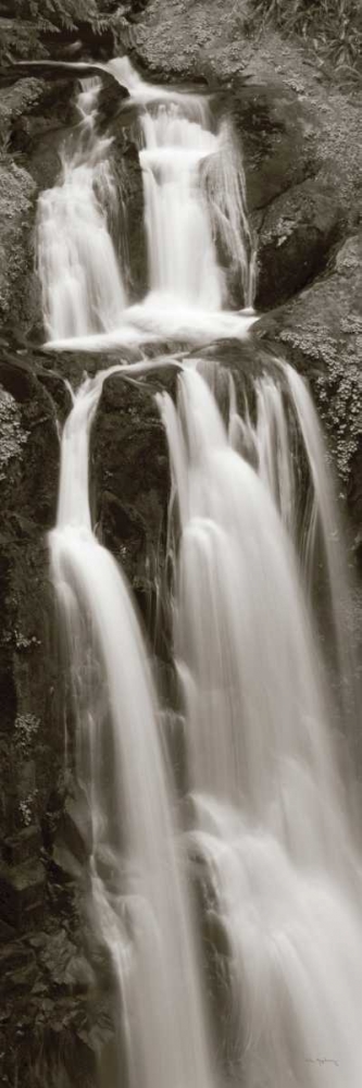 Similar wall art painting: 33411