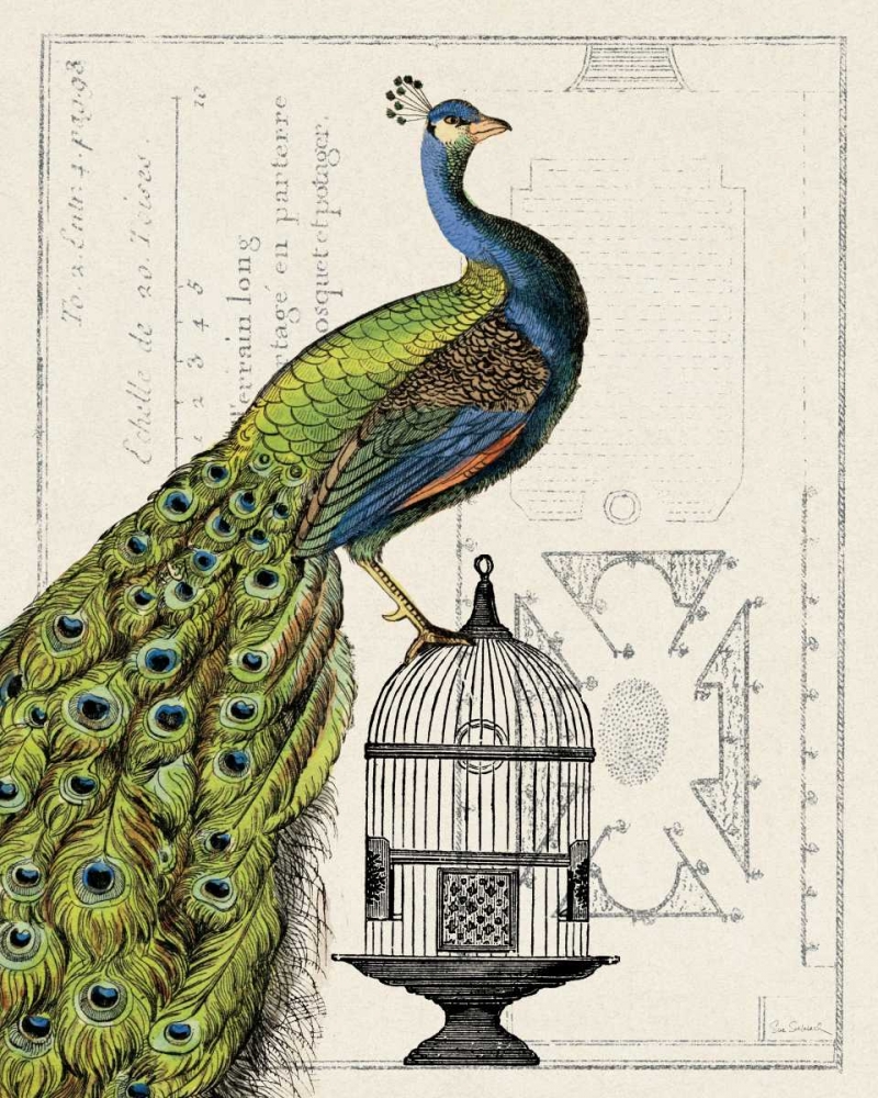 Wall Art Painting id:17786, Name: Peacock Birdcage I, Artist: Schlabach, Sue