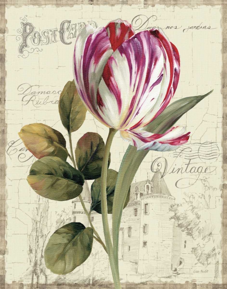 Wall Art Painting id:17126, Name: Garden View II - Tulip, Artist: Audit, Lisa