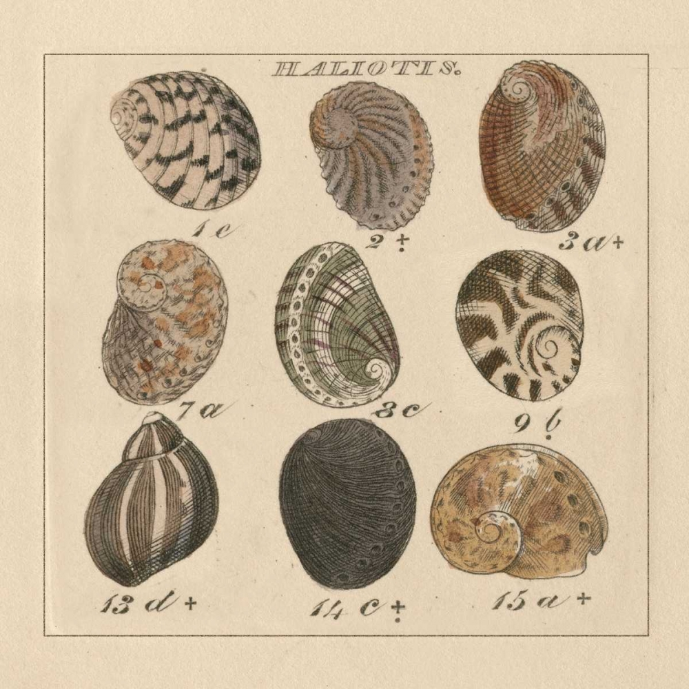 Similar wall art painting: 33550