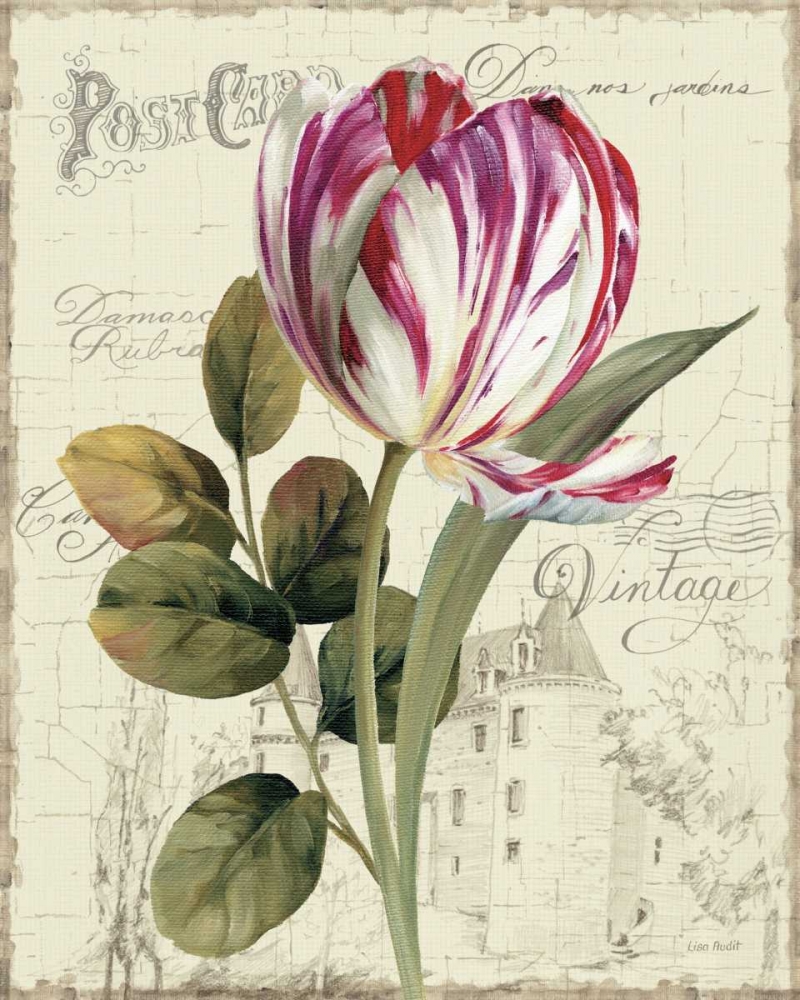 Art Print: Garden View II - Tulip