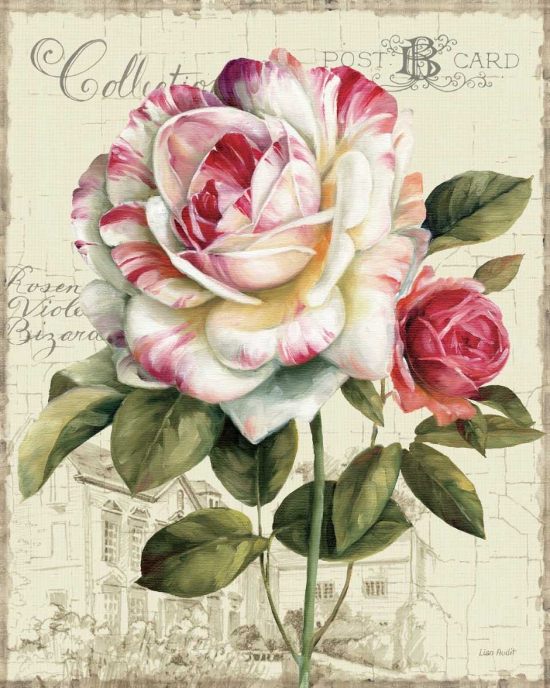 Art Print: Garden View III - Rose