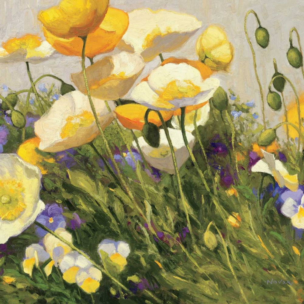 Art Print: Poppies and Pansies I