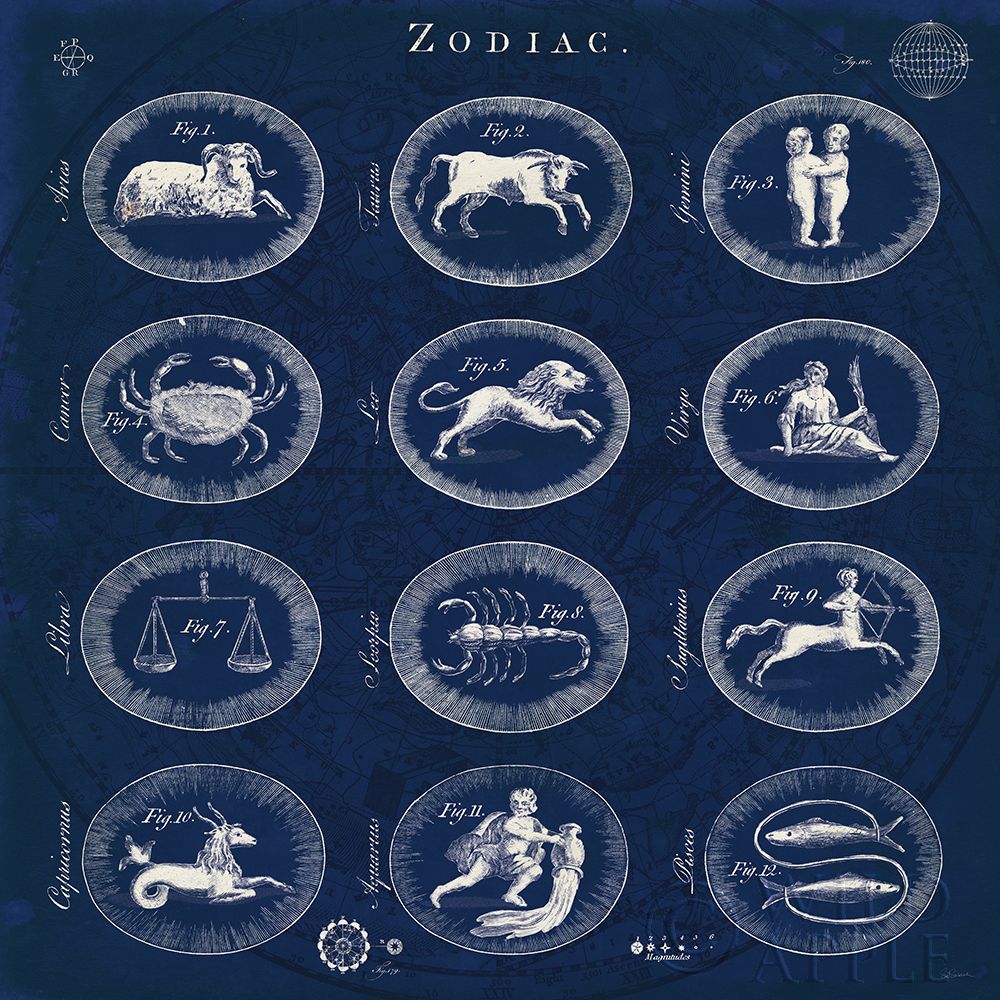 Wall Art Painting id:208302, Name: Blueprint Zodiac, Artist: Schlabach, Sue
