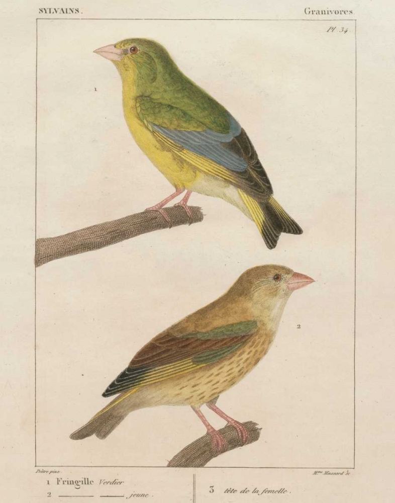 Similar wall art painting: 28333