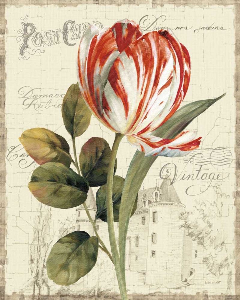 Wall Art Painting id:20946, Name: Garden View II - Red Tulip, Artist: Audit, Lisa