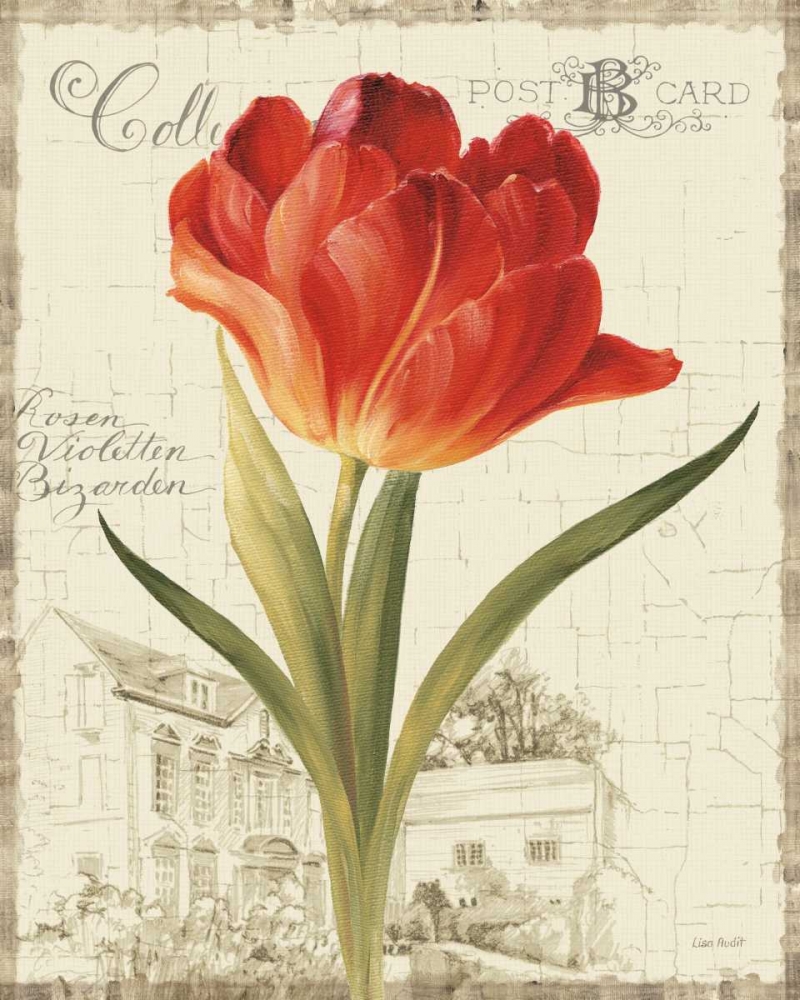 Wall Art Painting id:20947, Name: Garden View III - Red Tulip, Artist: Audit, Lisa